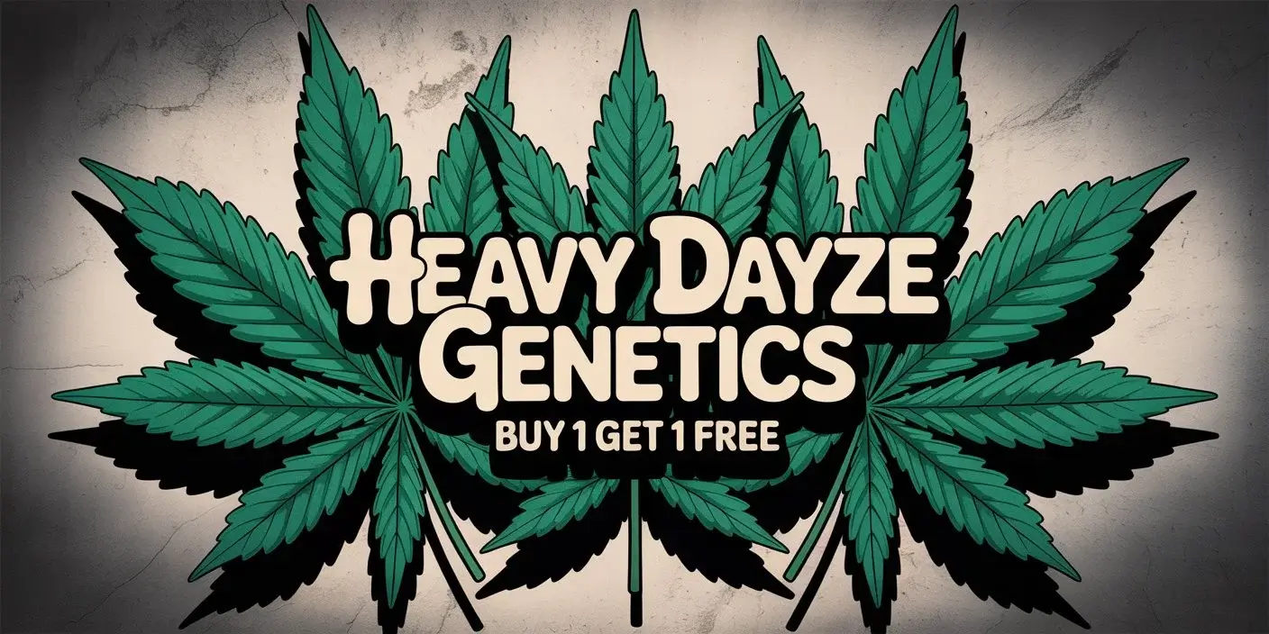 Autoflower Seeds Promotion