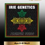 April O'Neil (Feminized) – Irie Genetics