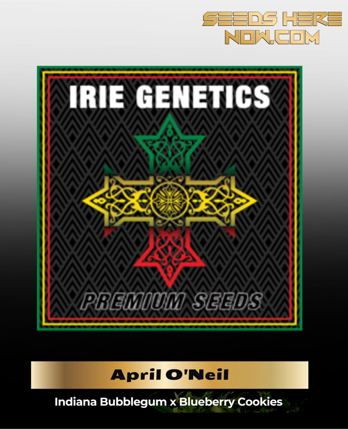 April O'Neil (Feminized) – Irie Genetics