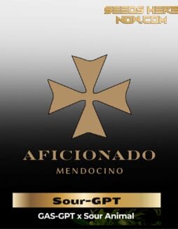 Uncle Doobie's SOUR(space)GPT (Regular) – Aficionado Seeds