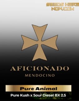 Uncle Doobie's Pure Animal (Regular) – Aficionado Seeds