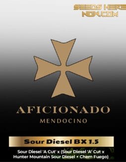 Uncle Doobie's Sour Diesel BX 1.5 (Regular) – Aficinado