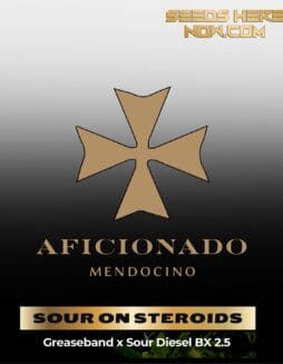Uncle Doobie's SOUR ON STEROIDS (Regular) – Aficionado Seeds