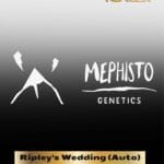 ILL#74 - Ripley's Wedding (Autoflower) – Mephisto Genetics