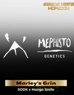 ILL#51 (space) Marley's Grin (Autoflower) – Mephisto Genetics