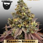 Freakin Sleazer (Regular) - S.A.G.E.masta Select