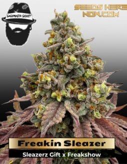 Freakin Sleazer (Regular) (space) S.A.G.E.masta Select