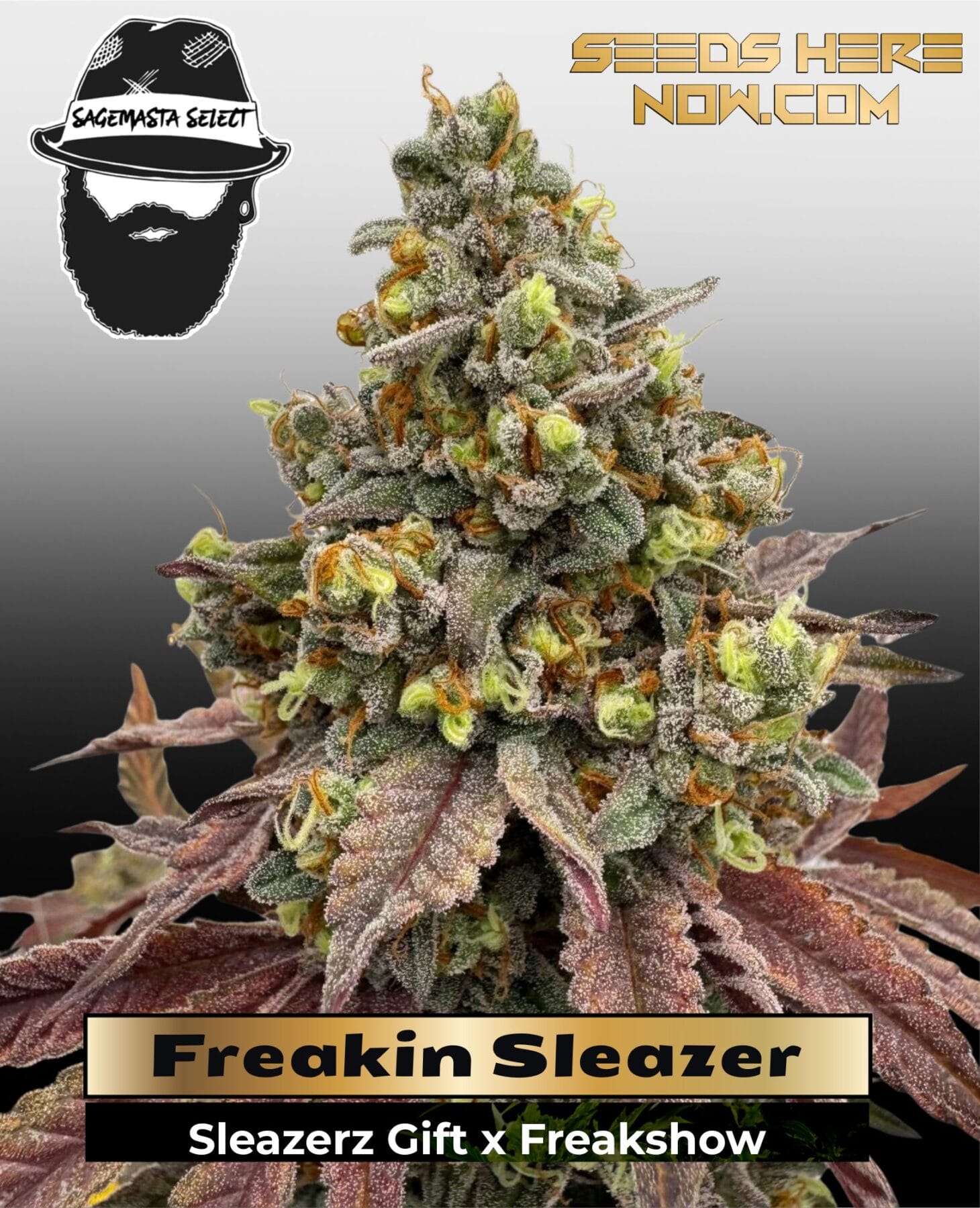Freakin Sleazer (Regular) - S.A.G.E.masta Select