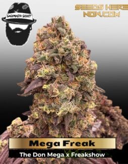 Mega Freak (Regular) (space) S.A.G.E.masta Select