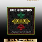 Rick Sanchez (Feminized) - Irie Genetics