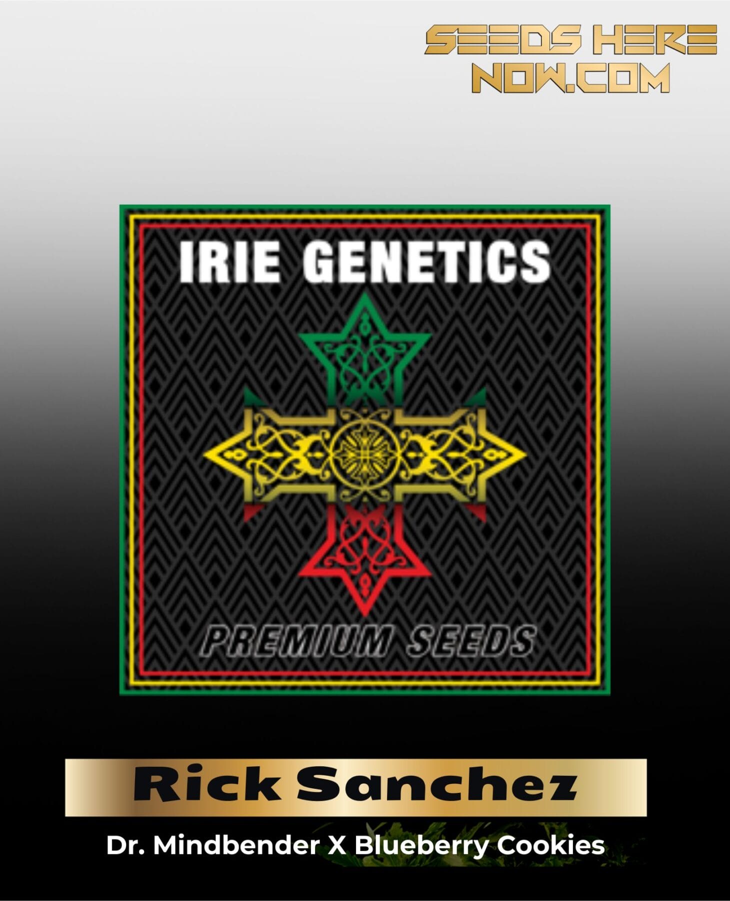 Rick Sanchez (Feminized) - Irie Genetics