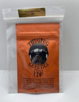 Peanut Butter Breath (Regular) (space) Thug Pug Genetics