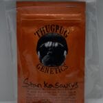 Stankasaurus (Regular) - Thug Pug Genetics