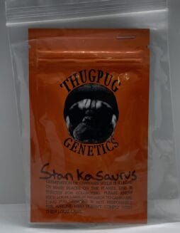 Stankasaurus (Regular) (space) Thug Pug GeneticsStankasaurus (Regular) (space) Thug Pug Genetics