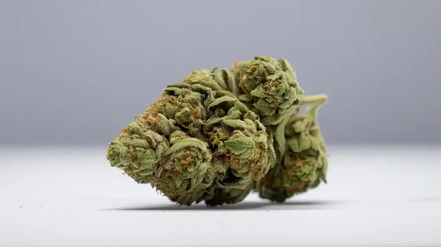 Blue Gumbo Strain Review: A Potent Hybrid With Unmatched Relaxation
