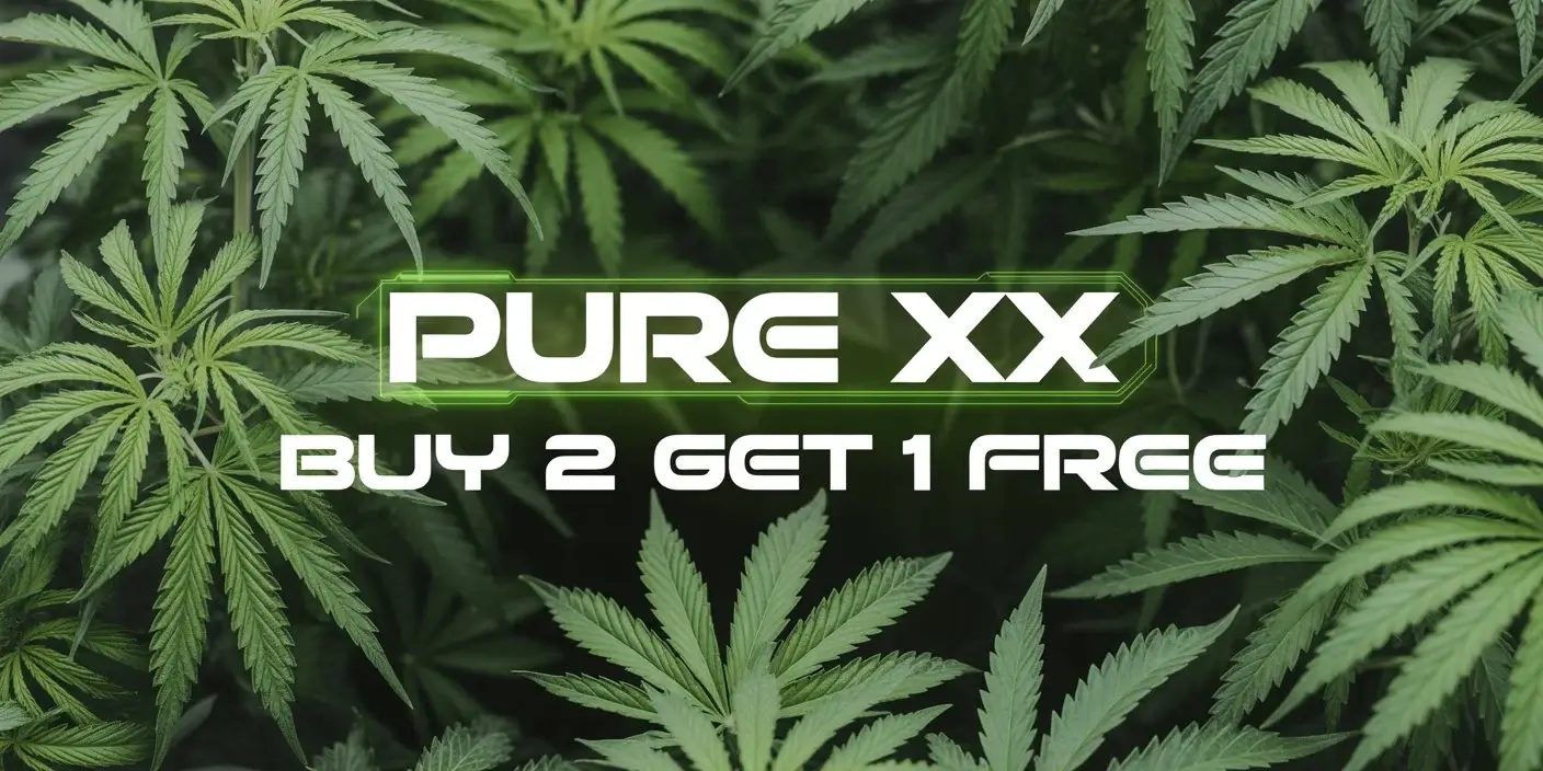 Autoflower Seeds Promotion