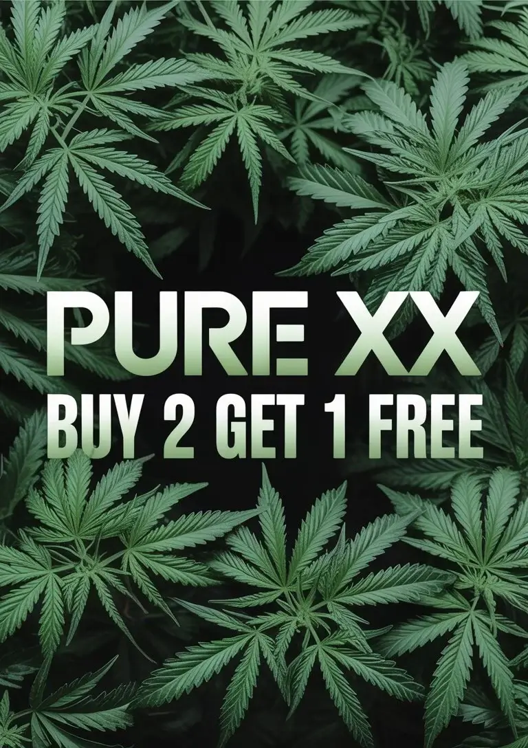 Autoflower Seeds Promotion