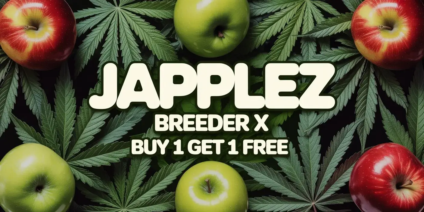 Autoflower Seeds Promotion