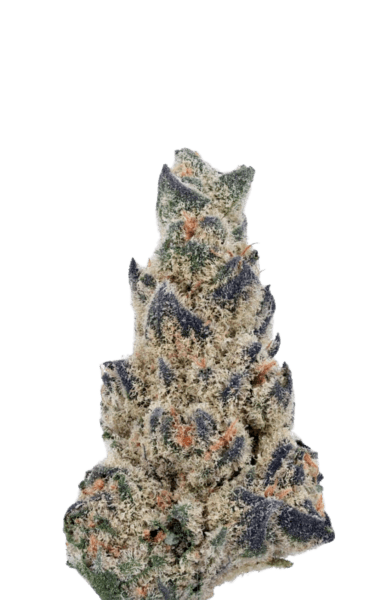 Buy Autoflowering Marijuana Seeds