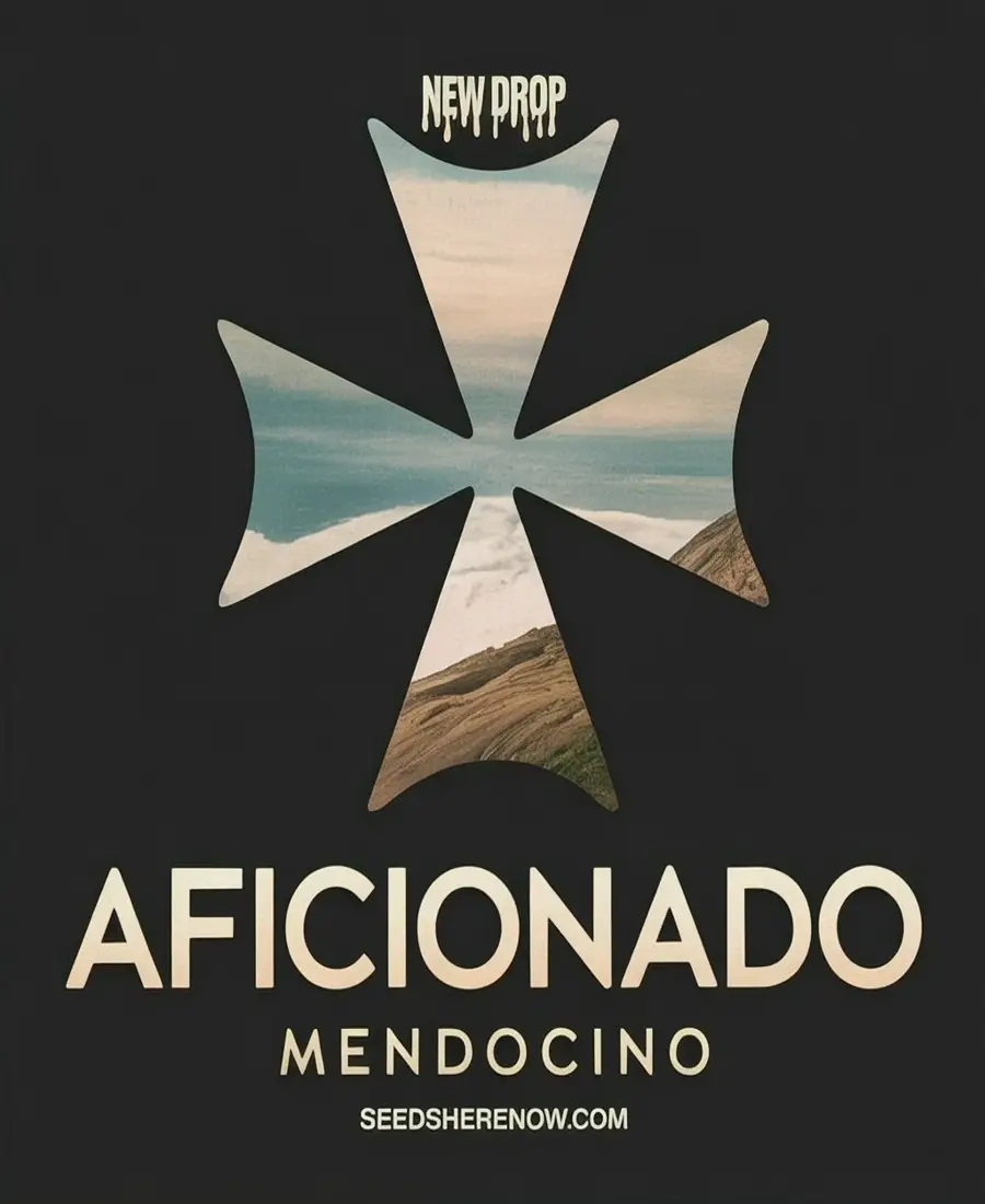 Autoflower Seeds Promotion