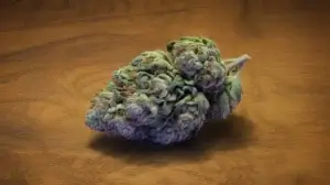 Rainbow Inferno strain