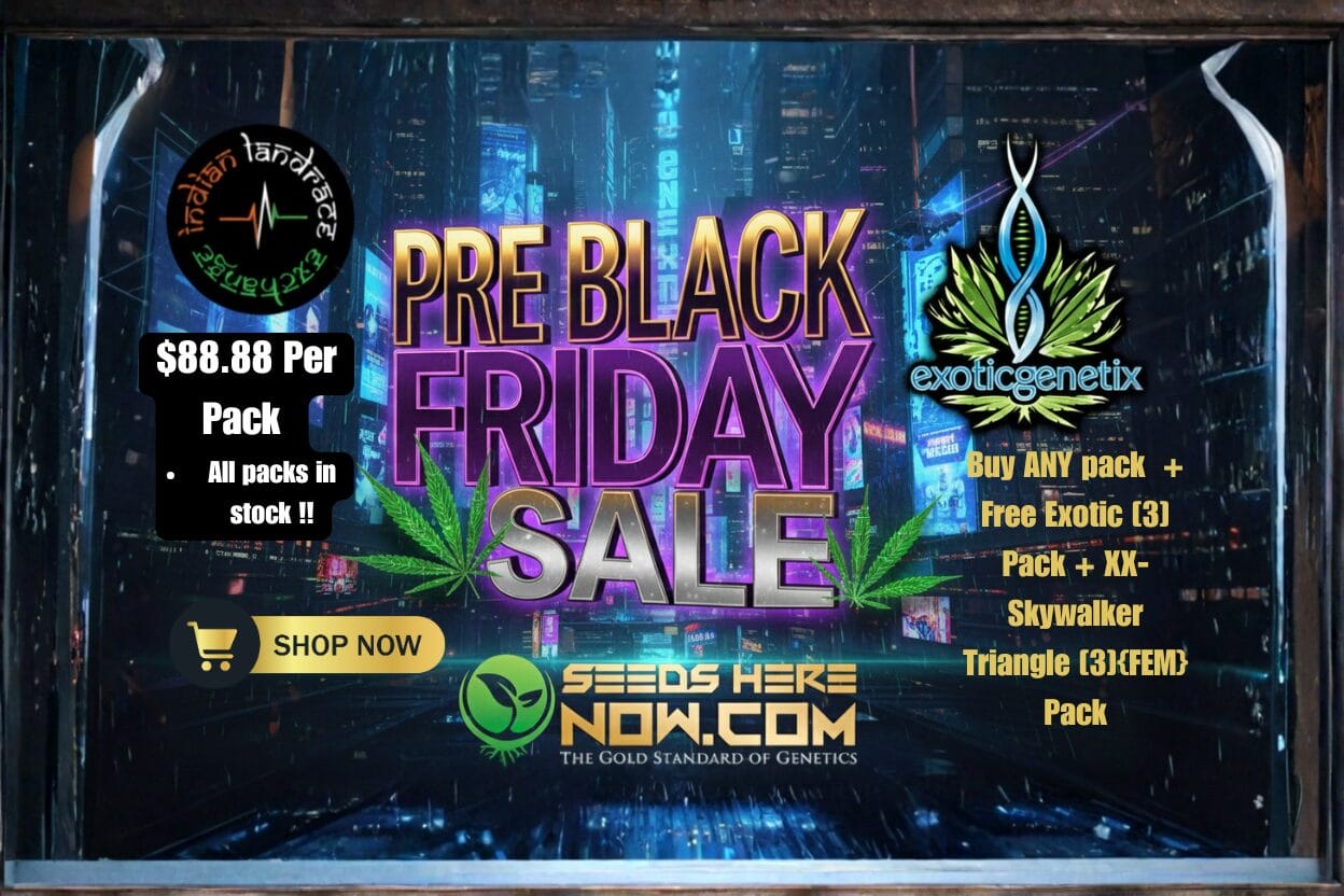 Autoflower Seeds Promotion