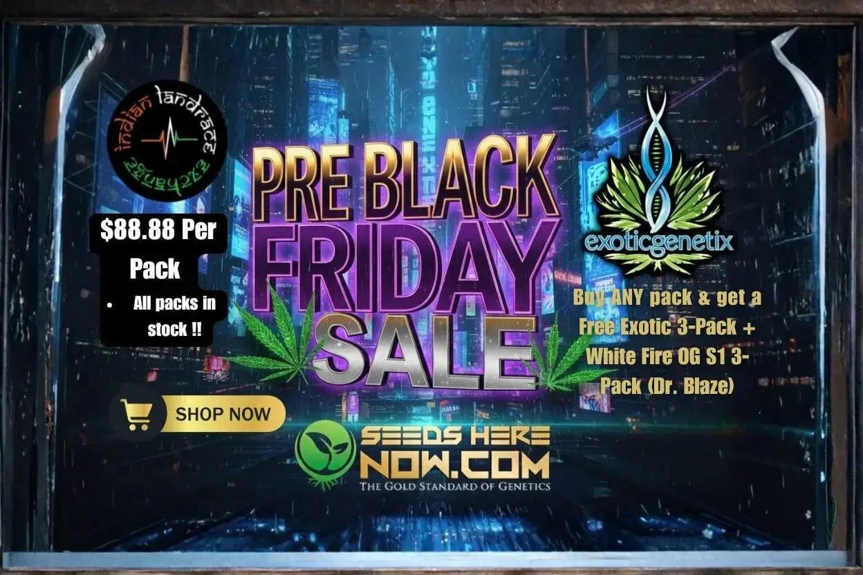 Autoflower Seeds Promotion