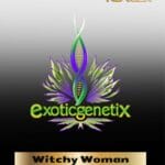 Witchy Woman (Feminized) - Exotic Genetix