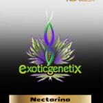 Nectarina (Feminized) - Exotic Genetix