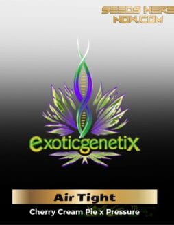 Air Tight (Feminized) (space) Exotic Genetix