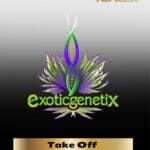 Take Off (Feminized) - Exotic Genetix