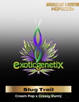 Slug Trail (Feminized) (space) Exotic Genetix