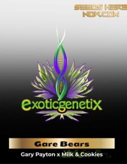 Gare Bears (Feminized) (space) Exotic Genetix