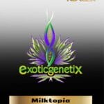 Milktopia (Feminized ) – Exotic Genetix