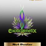 Nut Buster (Feminized ) – Exotic Genetix