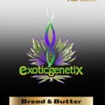 Bread & Butter (Feminized) – Exotic Genetix