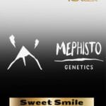 ILL#62 - Sweet Smile (Autoflower) – Mephisto Genetics
