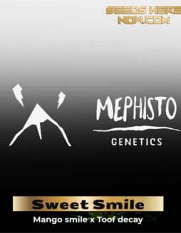ILL#62 (space) Sweet Smile (Autoflower) – Mephisto Genetics