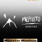 ILL#65 - Monster Mashup (Autoflower) – Mephisto Genetics