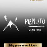 ILL#82 - Hypermatter (Autoflower) – Mephisto Genetics