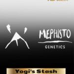 ILL#85 - Yogi's Stash (Autoflower) – Mephisto Genetics