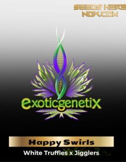 Happy Swirls (Feminized) (space) Exotic Genetix