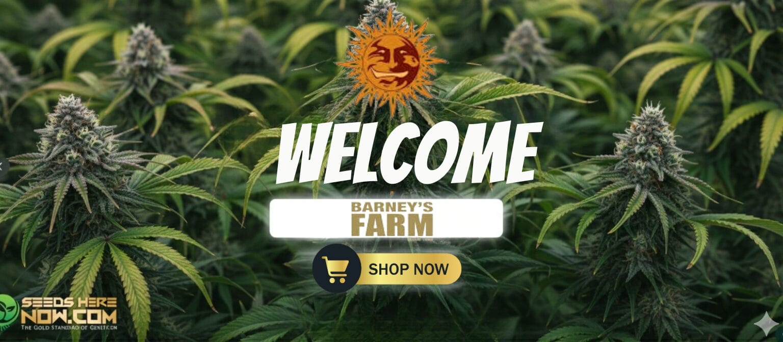 Autoflower Seeds Promotion