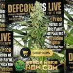 Defcon 4 (Regular) [15pk] – Dominion Seed Company + Free 40pk