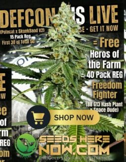 Defcon 4 (Regular) (space) Dominion Seed Company