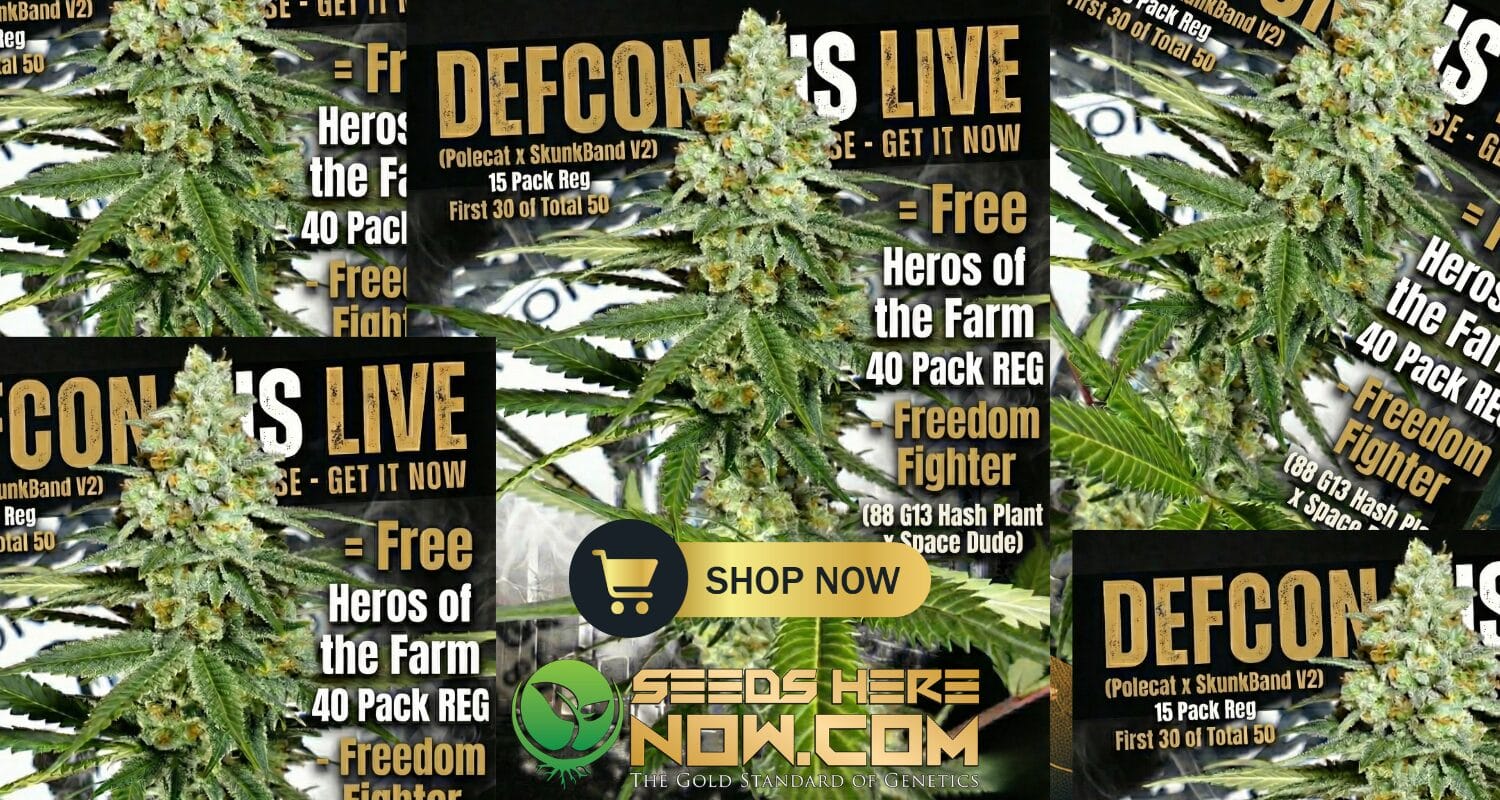 Defcon 4 (Regular) - Dominion Seed Company