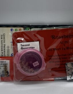 Rosaberry (Regular) (space) Second Generation Genetics