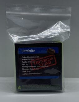 Ultrabrite (Regular) (space) Exotic Genetics