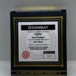 Goombay (Regular) - Swamp Boys Seeds