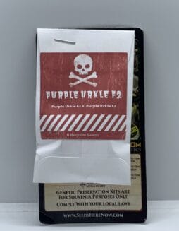 Purple Urkle F2 (Regular) (space) Pirates of the Emerald Triangle